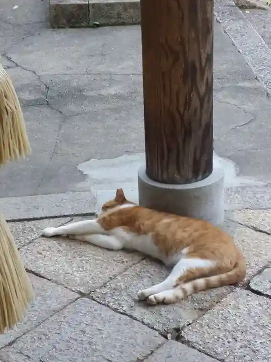 上宮天満宮の動物