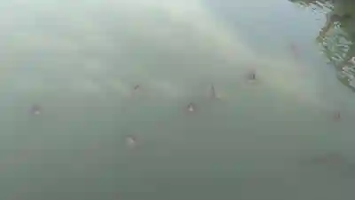 長岡天満宮(京都府)