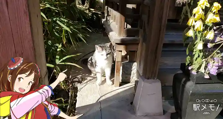 瀧泉寺(目黒不動尊)の動物