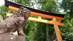 宇太水分神社の狛犬