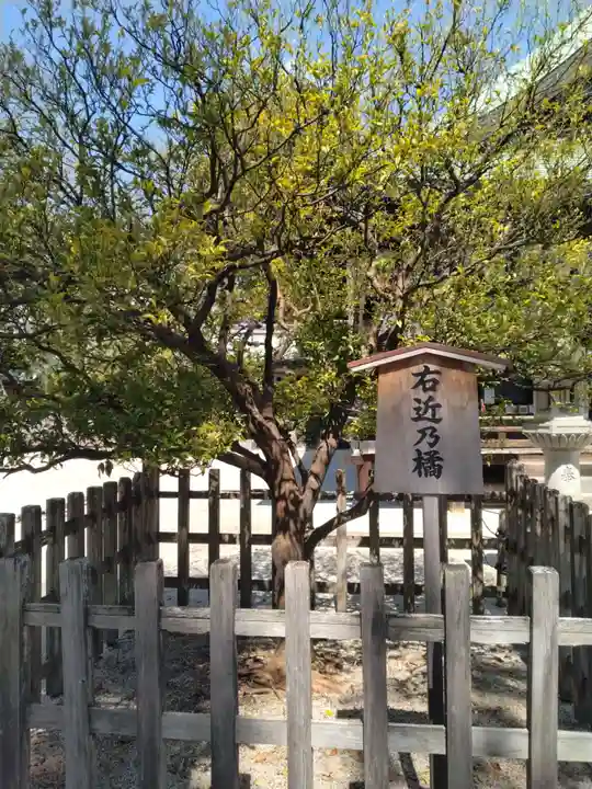 白峯神宮(京都府)