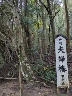 八重垣神社(島根県)
