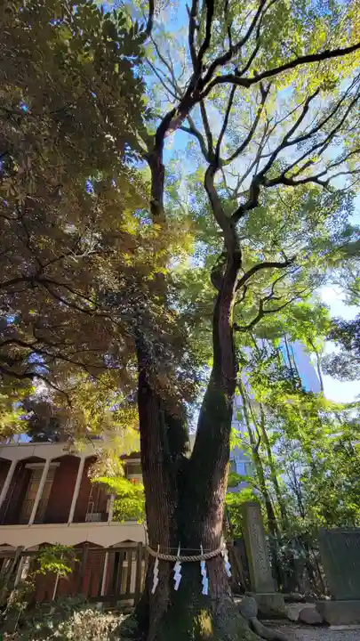 乃木神社の自然