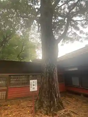 前原御嶽神社(千葉県)