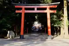 霧島神宮の鳥居