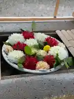 上野東照宮の手水舎