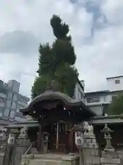 大将軍神社　東三條殿の本殿