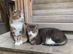 小野照崎神社の動物