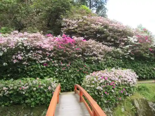 三室戸寺の庭園