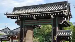 知恩院の山門