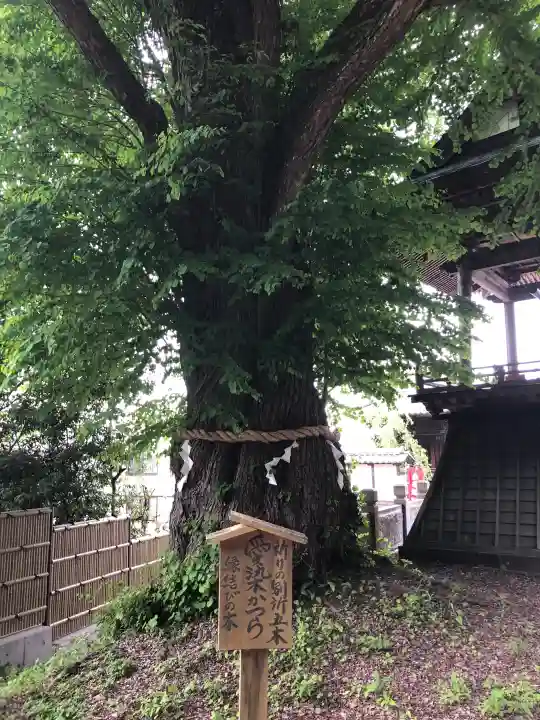 北向観音の{uncategorized: "未分類", other: "その他", undefined: "問題あり", building: "その他建物", grave: "お墓", sacred_gate: "鳥居", guardian: "狛犬", statue: "像", buddha: "仏像", history: "歴史", nature: "自然", garden: "庭園", animal: "動物", pagoda: "塔", temizu: "手水舎", mountain_gate: "山門・神門", sanctuary: "本殿・本堂", subordinate: "末社・摂社", art: "芸術", scenery: "景色", jizo: "地蔵", ema: "絵馬", goshuin: "御朱印", omikuji: "おみくじ", items: "授与品その他", amulet: "お守り", goshuincho: "御朱印帳", eats: "食事", festival: "お祭り", votive_dance: "神楽", shichigosan: "七五三参", wedding: "結婚式", experience: "体験その他", initially: "初詣", around: "周辺", anti_infection: "感染症対策"}