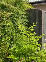 久伊豆神社の自然