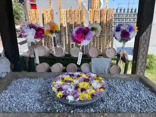 埼玉厄除け開運大師・龍泉寺（切り絵御朱印発祥の寺）(埼玉県)