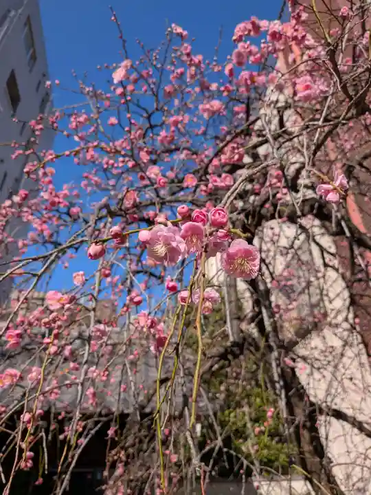 長円寺(東京都)