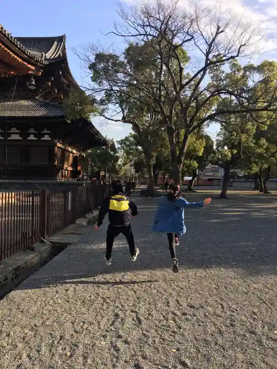 東寺(教王護国寺)(京都府)