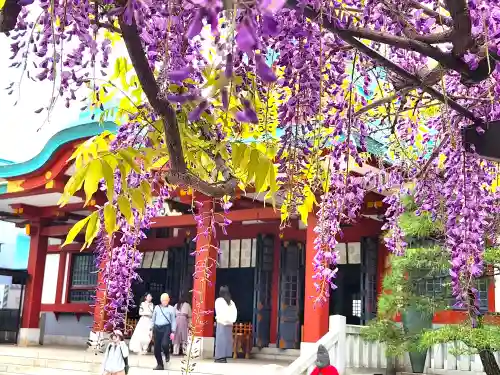 日枝神社(東京都)