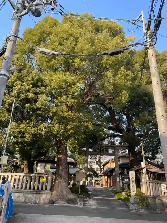 山王神社(京都府)