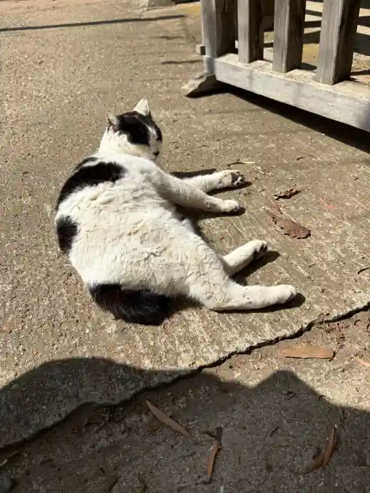 鎌数伊勢大神宮の{uncategorized: "未分類", other: "その他", undefined: "問題あり", building: "その他建物", grave: "お墓", sacred_gate: "鳥居", guardian: "狛犬", statue: "像", buddha: "仏像", history: "歴史", nature: "自然", garden: "庭園", animal: "動物", pagoda: "塔", temizu: "手水舎", mountain_gate: "山門・神門", sanctuary: "本殿・本堂", subordinate: "末社・摂社", art: "芸術", scenery: "景色", jizo: "地蔵", ema: "絵馬", goshuin: "御朱印", omikuji: "おみくじ", items: "授与品その他", amulet: "お守り", goshuincho: "御朱印帳", eats: "食事", festival: "お祭り", votive_dance: "神楽", shichigosan: "七五三参", wedding: "結婚式", experience: "体験その他", initially: "初詣", around: "周辺", anti_infection: "感染症対策"}