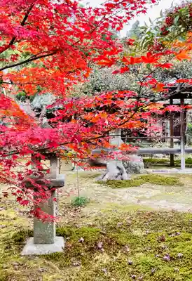 鹿王院(京都府)