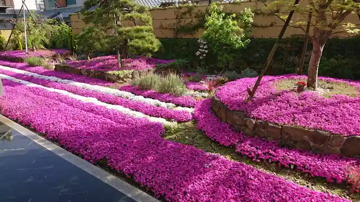 寿量山 速成寺の自然