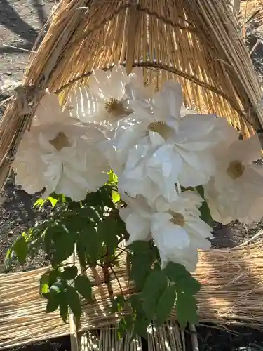 上野東照宮の{uncategorized: "未分類", other: "その他", undefined: "問題あり", building: "その他建物", grave: "お墓", sacred_gate: "鳥居", guardian: "狛犬", statue: "像", buddha: "仏像", history: "歴史", nature: "自然", garden: "庭園", animal: "動物", pagoda: "塔", temizu: "手水舎", mountain_gate: "山門・神門", sanctuary: "本殿・本堂", subordinate: "末社・摂社", art: "芸術", scenery: "景色", jizo: "地蔵", ema: "絵馬", goshuin: "御朱印", omikuji: "おみくじ", items: "授与品その他", amulet: "お守り", goshuincho: "御朱印帳", eats: "食事", festival: "お祭り", votive_dance: "神楽", shichigosan: "七五三参", wedding: "結婚式", experience: "体験その他", initially: "初詣", around: "周辺", anti_infection: "感染症対策"}