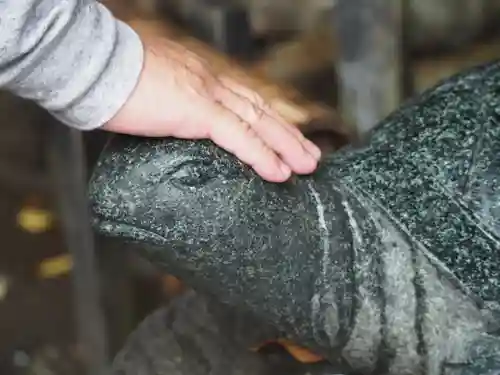 酒列磯前神社の狛犬