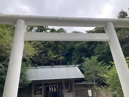 安房神社の鳥居