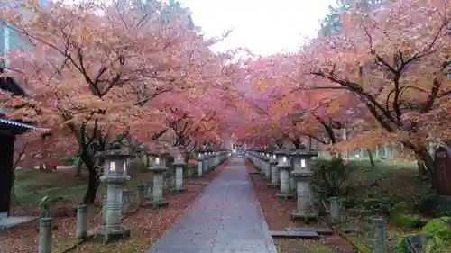 高山寺の景色