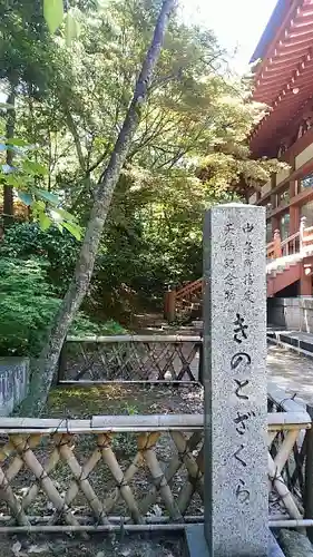 乙寳寺の自然