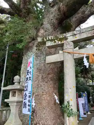 仁井田神社(高知県)