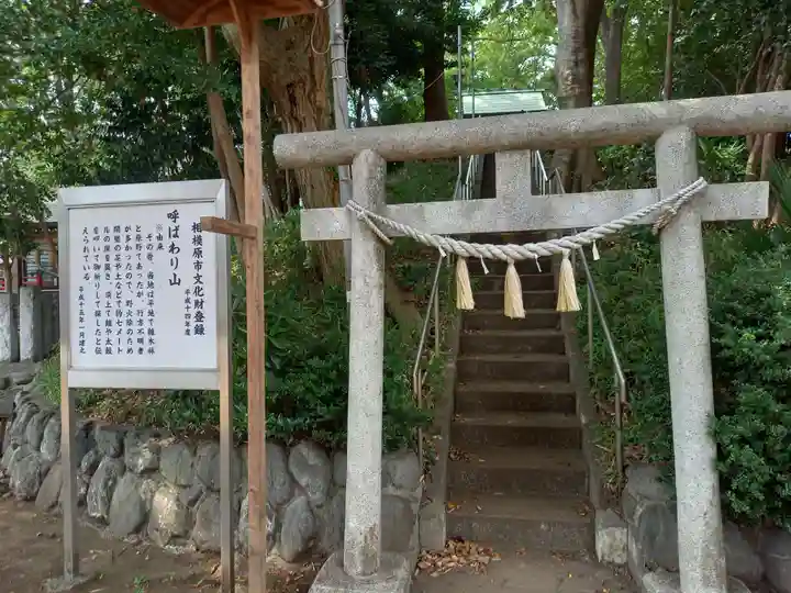 新田稲荷神社(神奈川県)