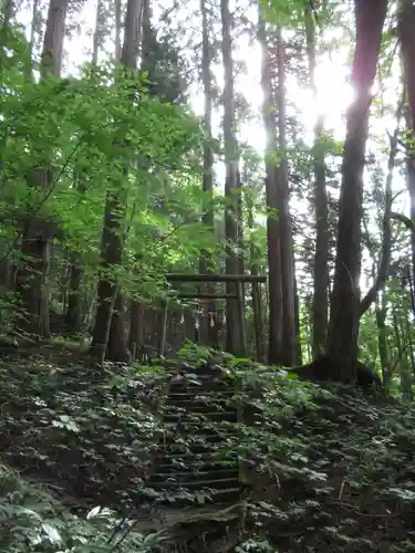 戸隠神社宝光社の鳥居