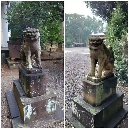 姉埼神社の狛犬