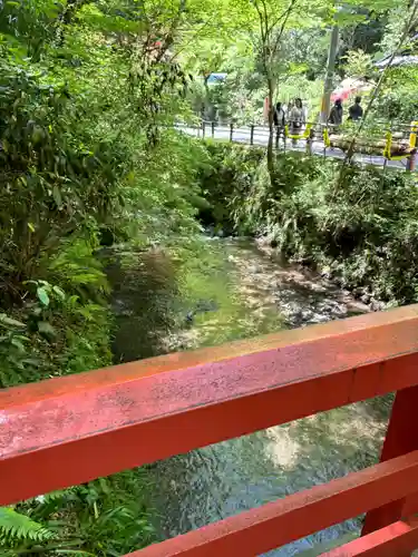 鞍馬寺(京都府)