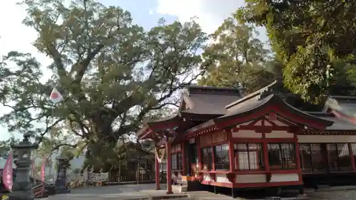 蒲生八幡神社(鹿児島県)