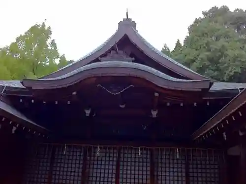 近江神宮の本殿・本堂