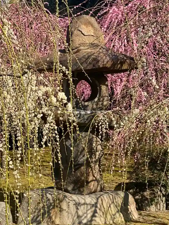 城南宮(京都府)