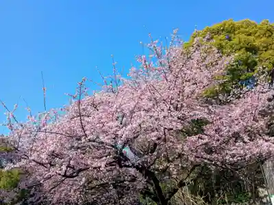 花園稲荷神社(東京都)
