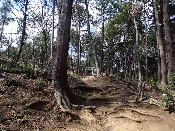 高麗神社の自然