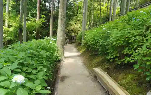 呑山観音寺の庭園