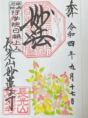 ケイトウ