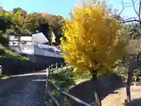 妙行寺(福井県)