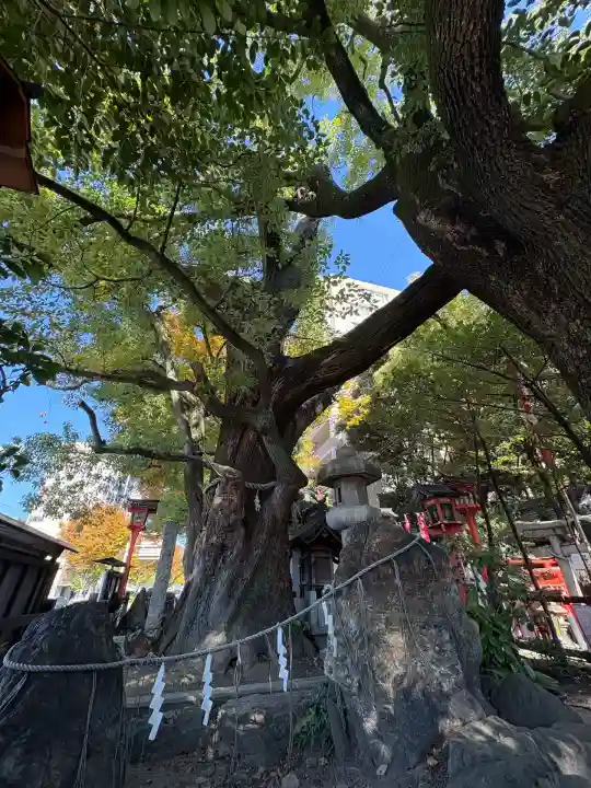 若一神社(京都府)