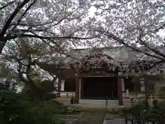 正樂寺の本殿