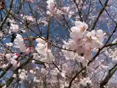 射水神社の自然