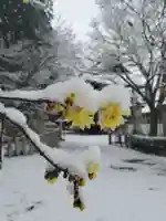 沙沙貴神社の自然