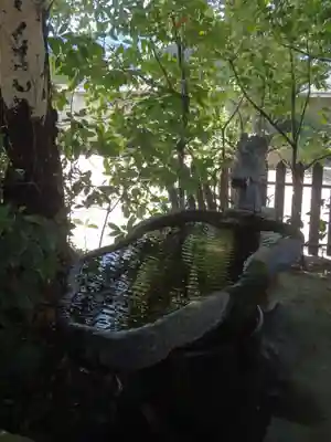 瑞光寺の手水舎