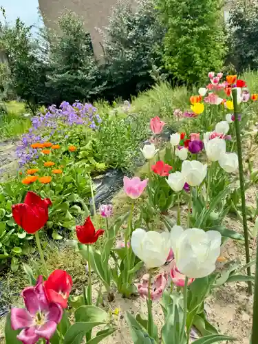 玉田神社(京都府)