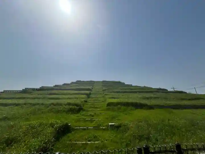 大野寺(大阪府)