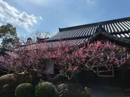 穴太寺の{uncategorized: "未分類", other: "その他", undefined: "問題あり", building: "その他建物", grave: "お墓", sacred_gate: "鳥居", guardian: "狛犬", statue: "像", buddha: "仏像", history: "歴史", nature: "自然", garden: "庭園", animal: "動物", pagoda: "塔", temizu: "手水舎", mountain_gate: "山門・神門", sanctuary: "本殿・本堂", subordinate: "末社・摂社", art: "芸術", scenery: "景色", jizo: "地蔵", ema: "絵馬", goshuin: "御朱印", omikuji: "おみくじ", items: "授与品その他", amulet: "お守り", goshuincho: "御朱印帳", eats: "食事", festival: "お祭り", votive_dance: "神楽", shichigosan: "七五三参", wedding: "結婚式", experience: "体験その他", initially: "初詣", around: "周辺", anti_infection: "感染症対策"}